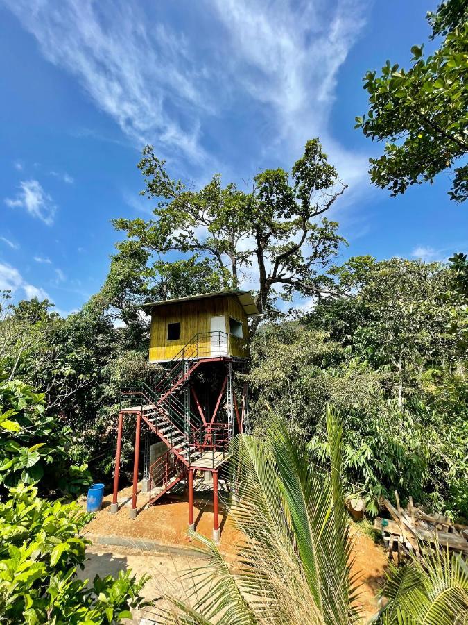 Nutmeg Valley อีดุกกี ภายนอก รูปภาพ