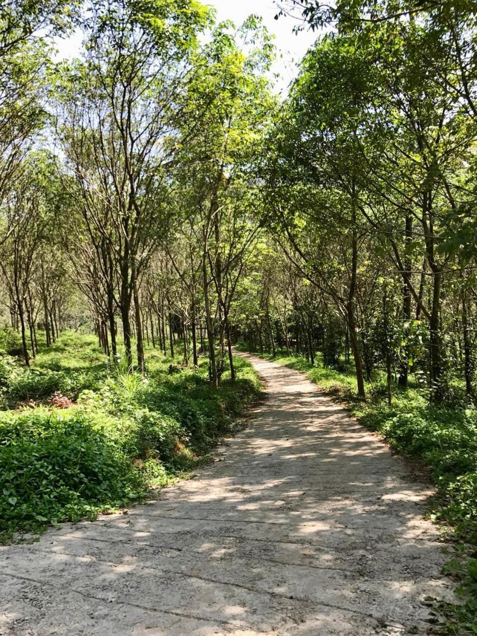 Nutmeg Valley อีดุกกี ภายนอก รูปภาพ